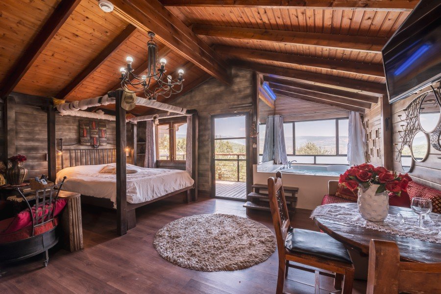 בצל עצי הזית