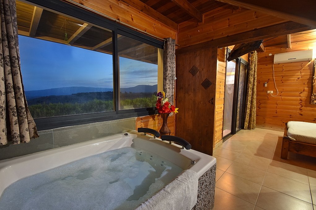 יחידות אירוח יחידות אירוח