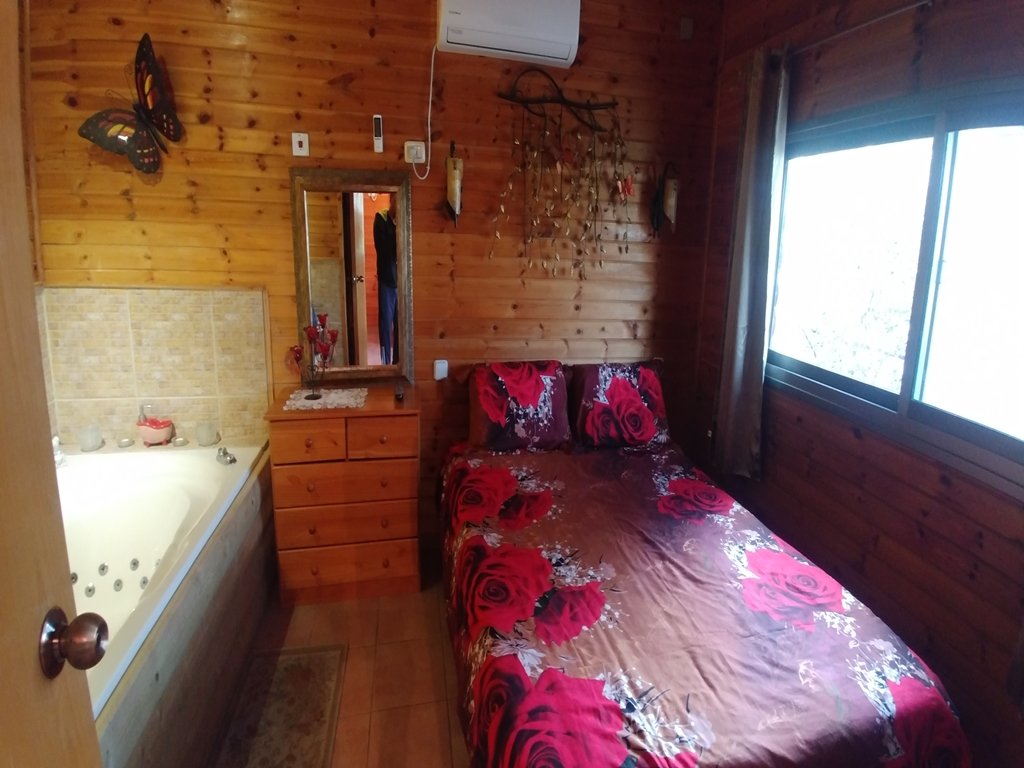 צלילי אהבה בכנרת