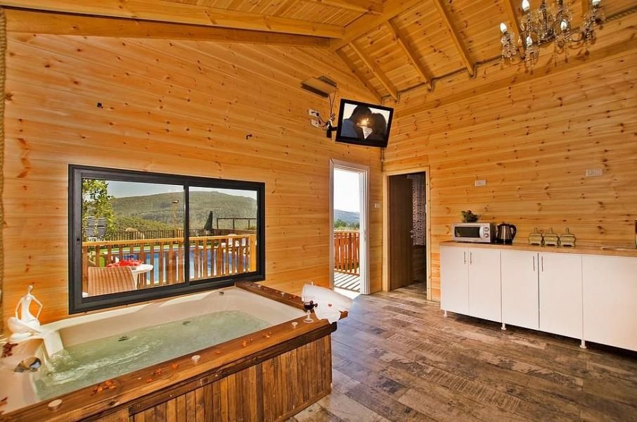 התאנה התאנה