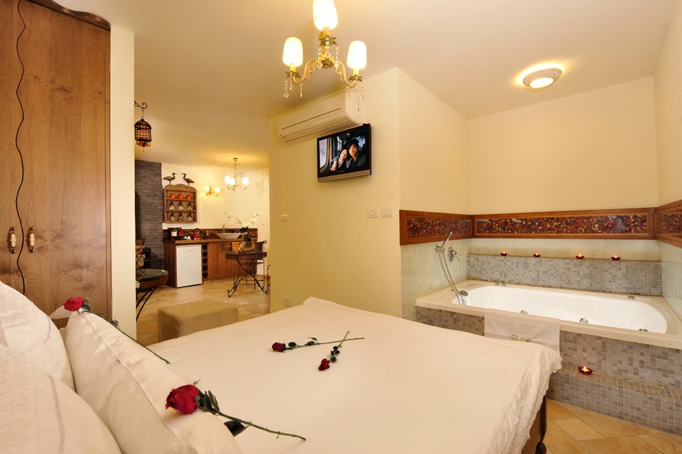 סווטות זית וגפן